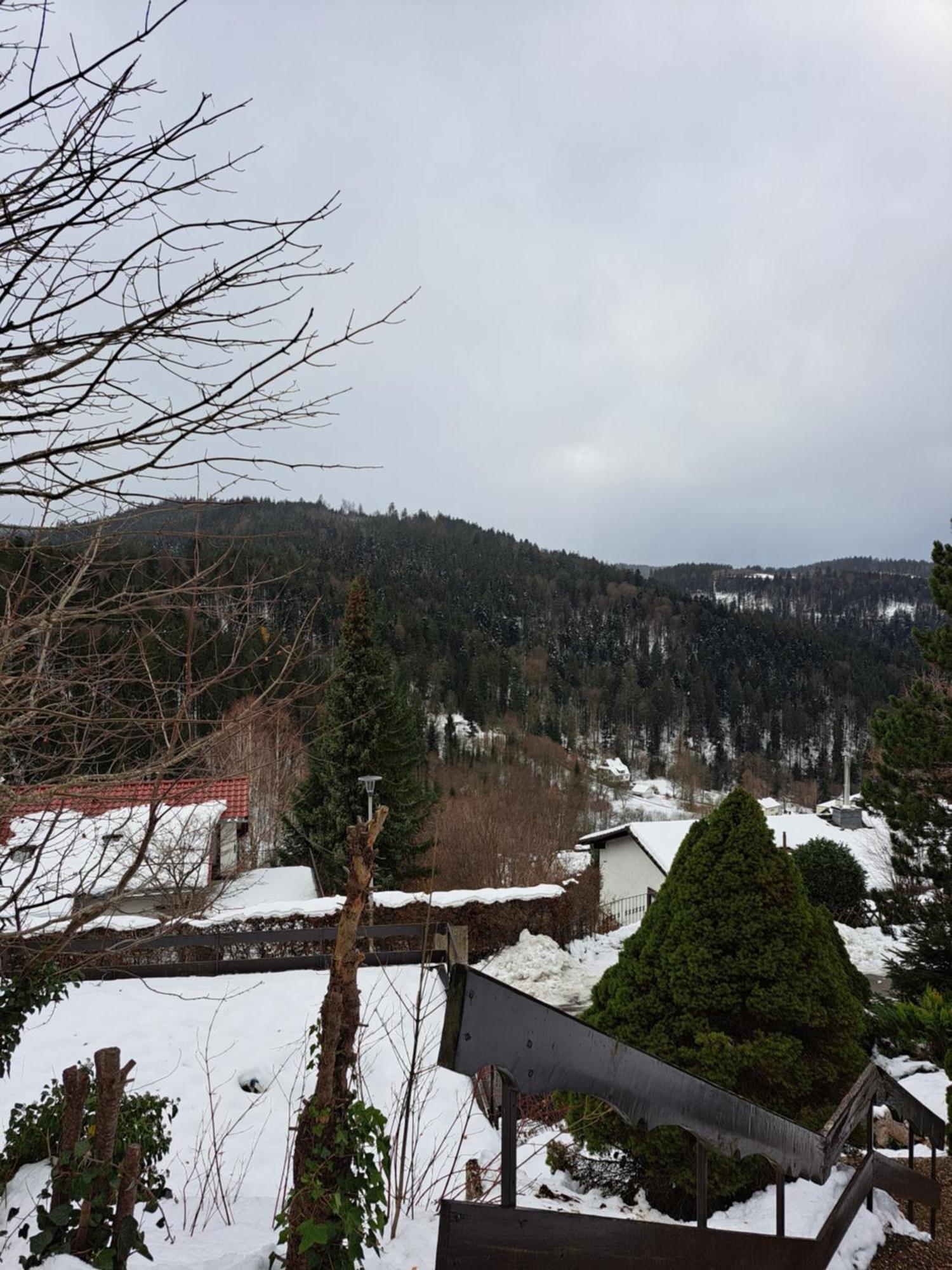 טריברג Grosse Ferienwohnung In Ruhiger Lage Mit Toller Aussicht In Triberg מראה חיצוני תמונה