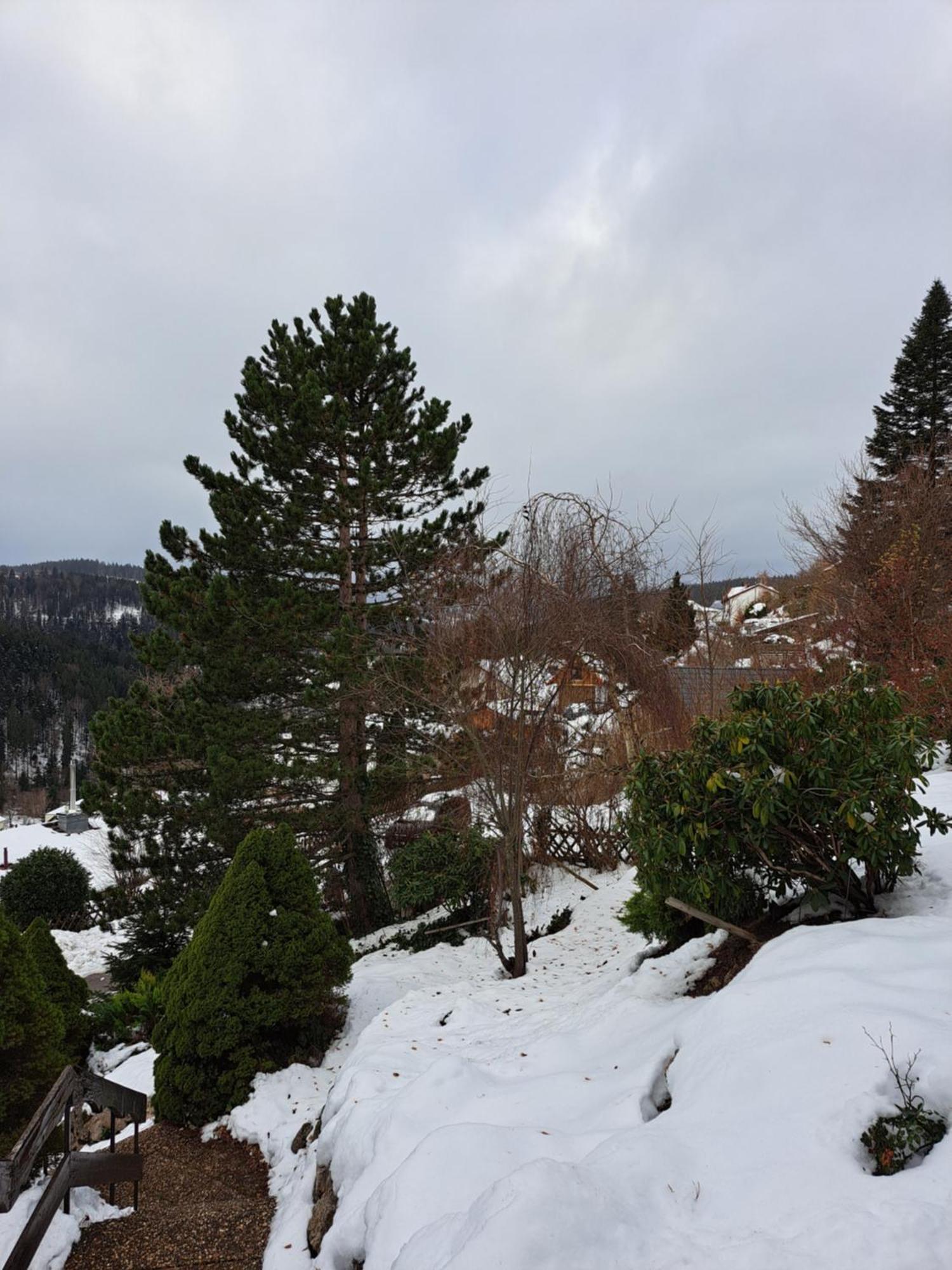 טריברג Grosse Ferienwohnung In Ruhiger Lage Mit Toller Aussicht In Triberg מראה חיצוני תמונה