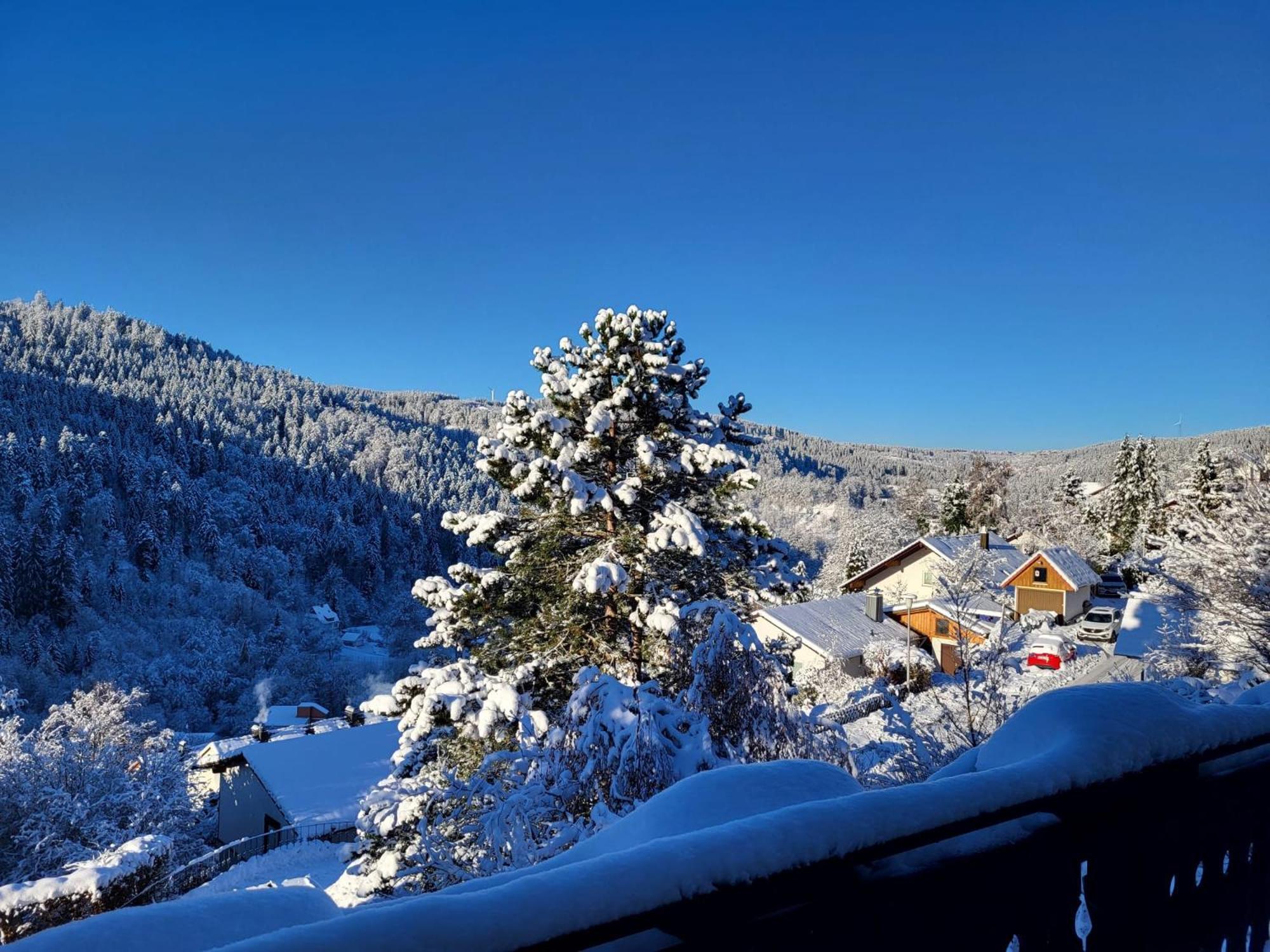 טריברג Grosse Ferienwohnung In Ruhiger Lage Mit Toller Aussicht In Triberg מראה חיצוני תמונה
