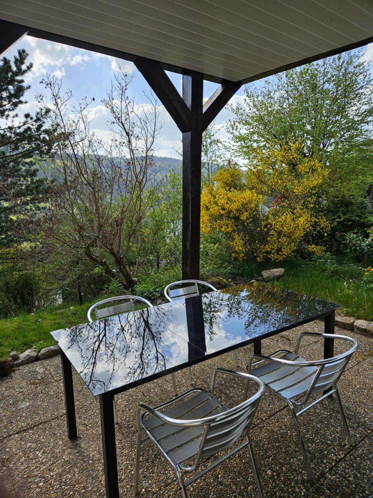 טריברג Grosse Ferienwohnung In Ruhiger Lage Mit Toller Aussicht In Triberg מראה חיצוני תמונה